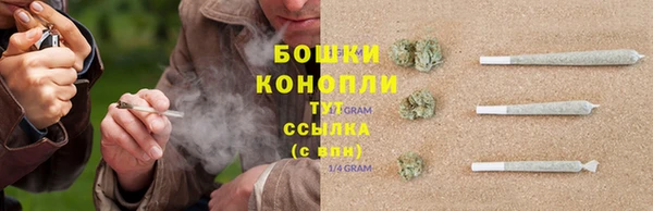 прущая мука Ельня