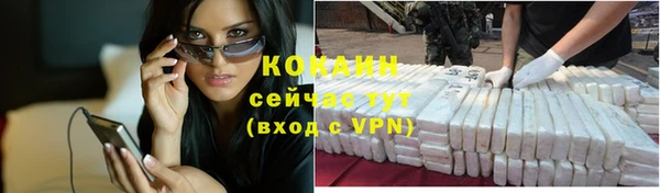 прущая мука Ельня
