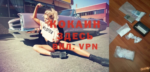 прущая мука Ельня
