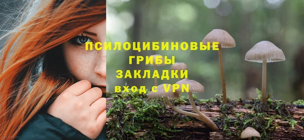 прущая мука Ельня