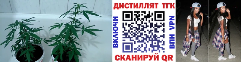 Дистиллят ТГК вейп с тгк  Купить  Костомукша 