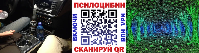 Купить где Костомукша Псилоцибиновые грибы Psilocybe